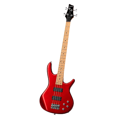 Bass